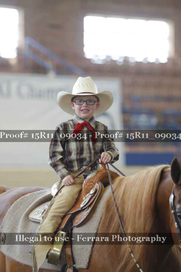 Proof Number 15R11_09034