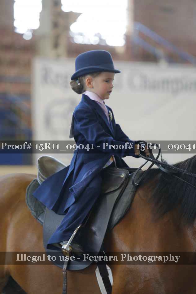 Proof Number 15R11_09041