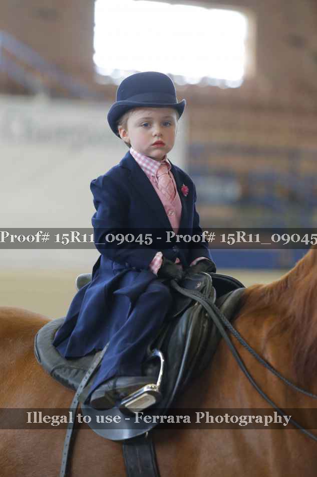 Proof Number 15R11_09045