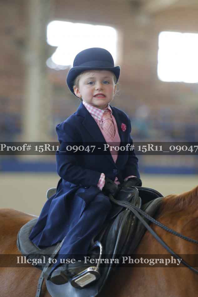 Proof Number 15R11_09047