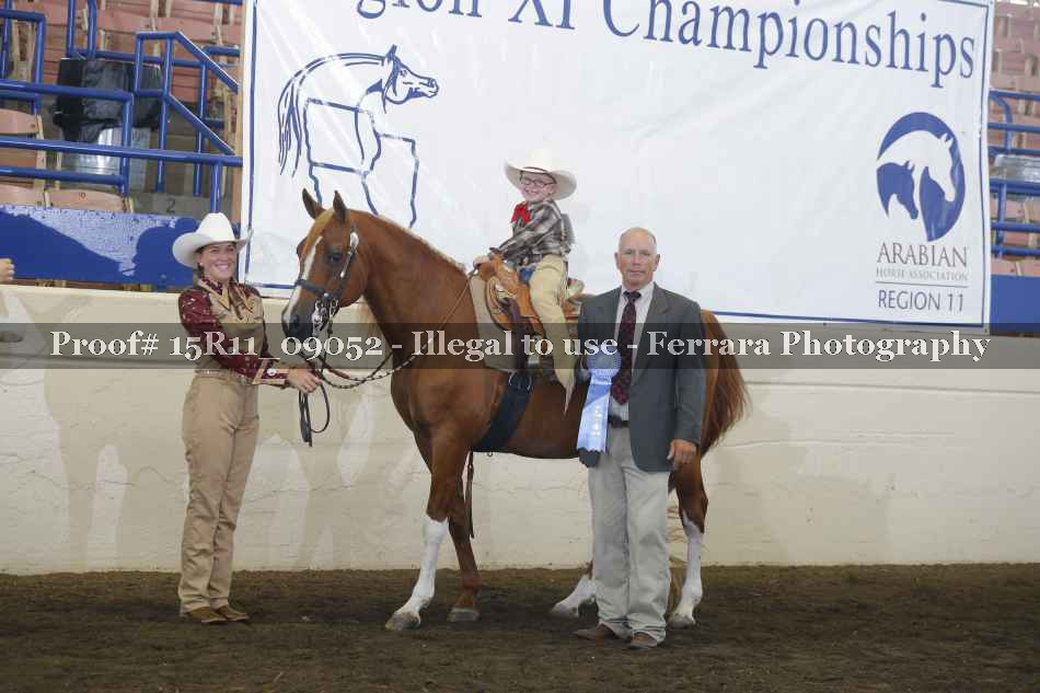 Proof Number 15R11_09052