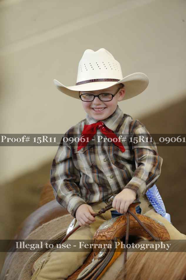 Proof Number 15R11_09061