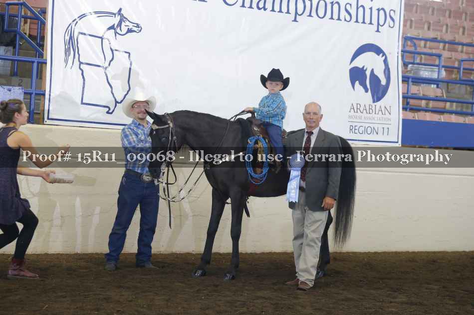 Proof Number 15R11_09068
