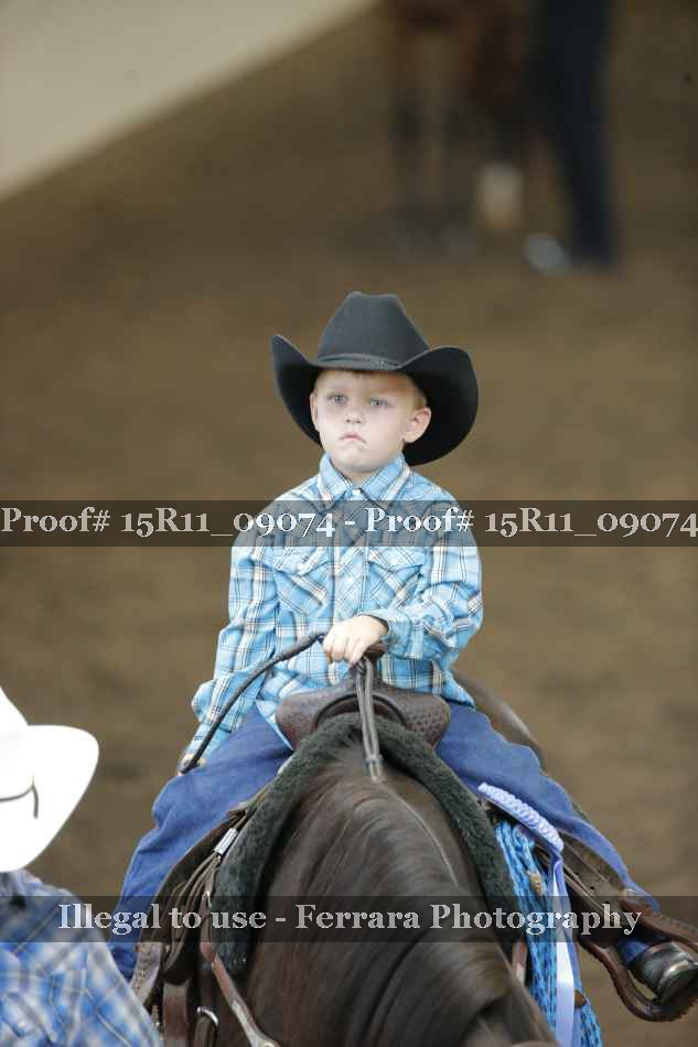 Proof Number 15R11_09074