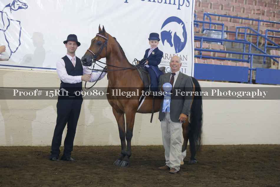 Proof Number 15R11_09080