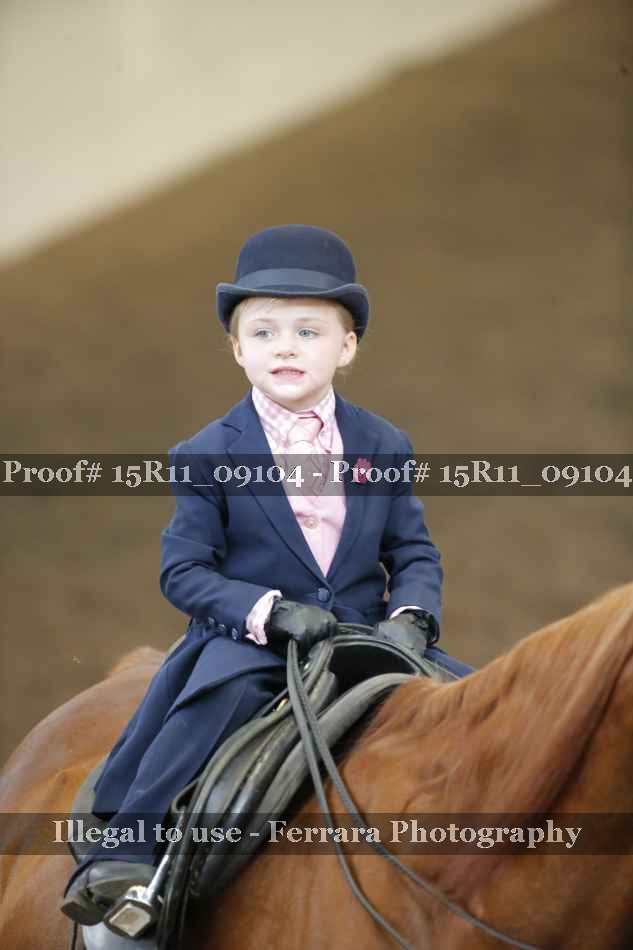 Proof Number 15R11_09104