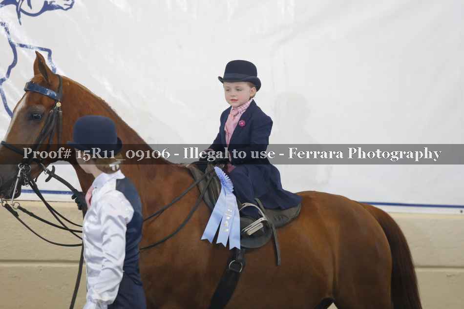 Proof Number 15R11_09106