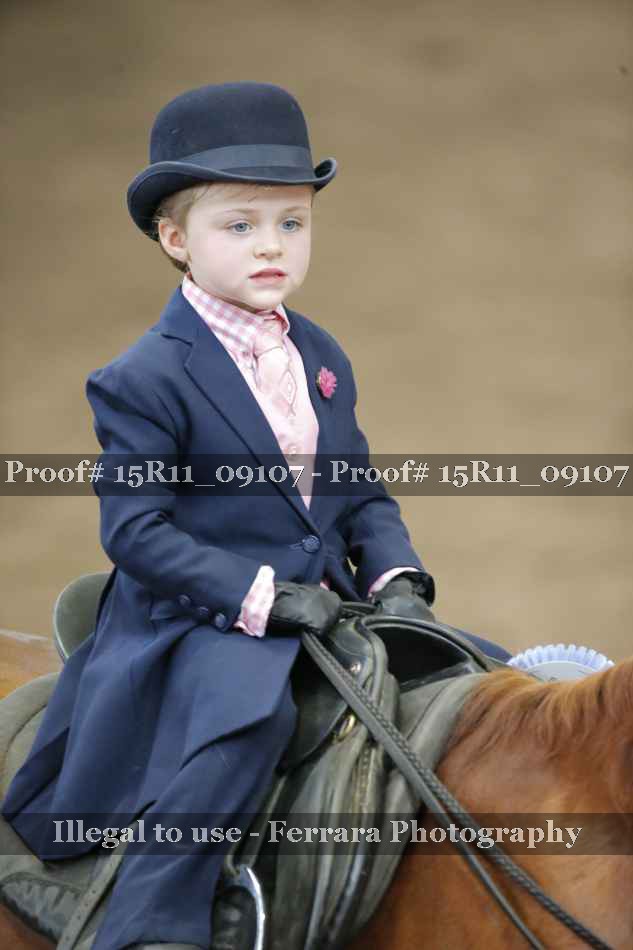 Proof Number 15R11_09107