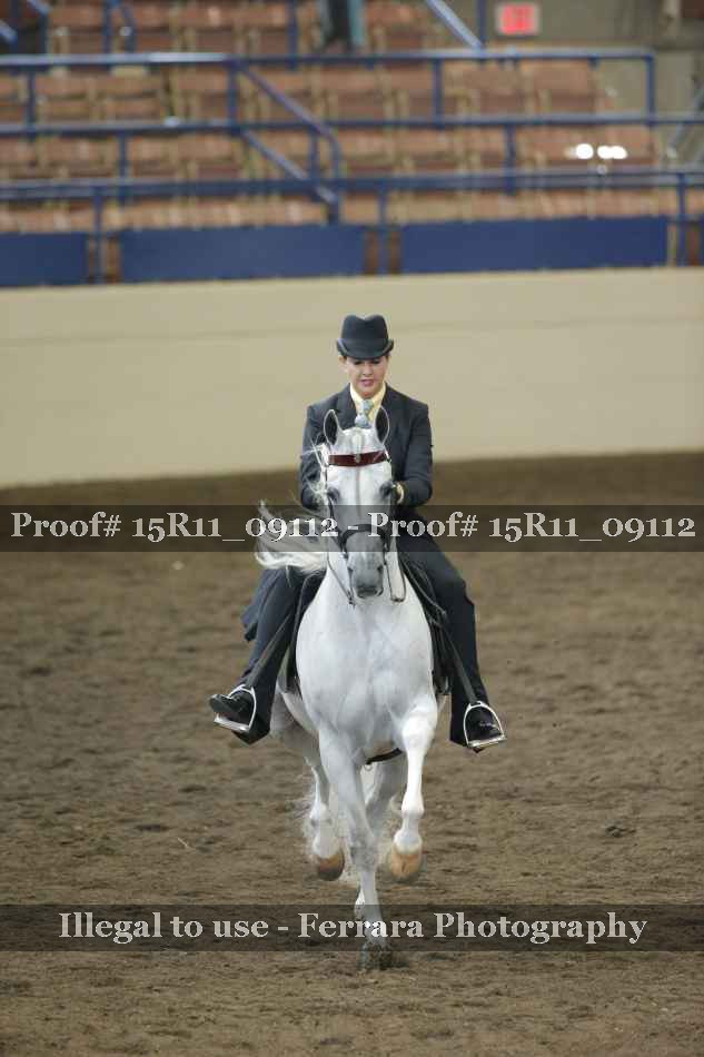 Proof Number 15R11_09112