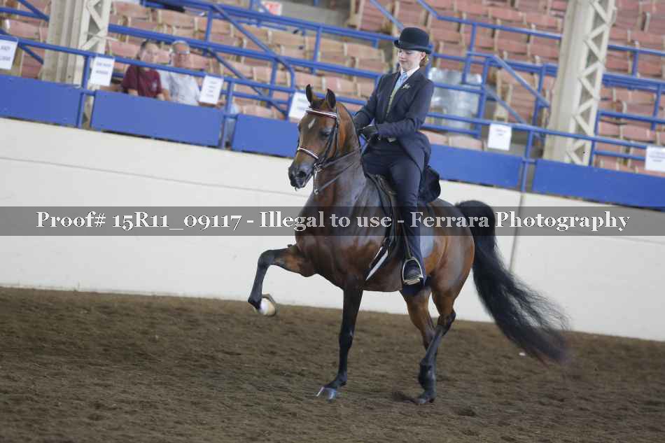 Proof Number 15R11_09117