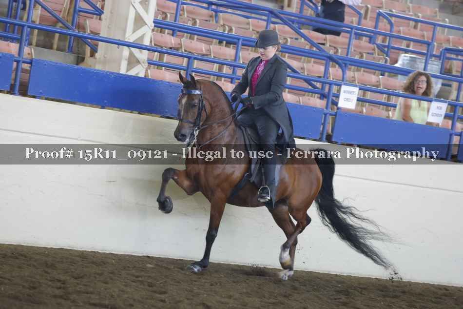 Proof Number 15R11_09121