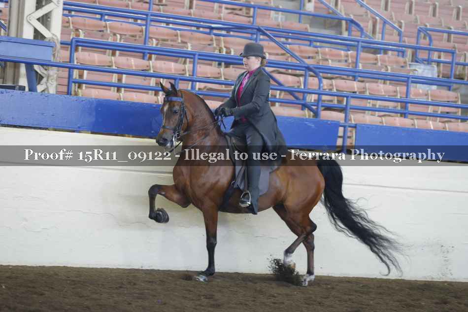 Proof Number 15R11_09122