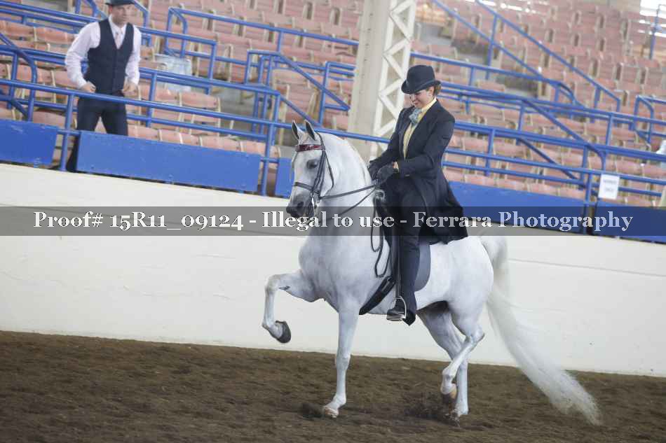 Proof Number 15R11_09124