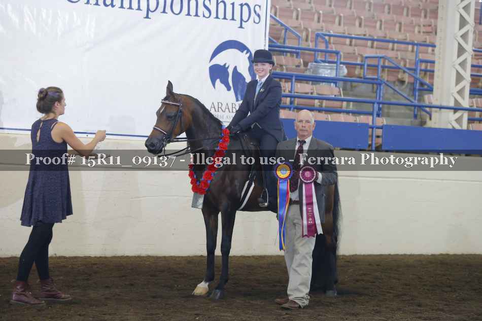Proof Number 15R11_09137