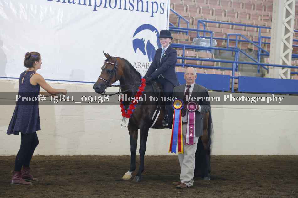 Proof Number 15R11_09138