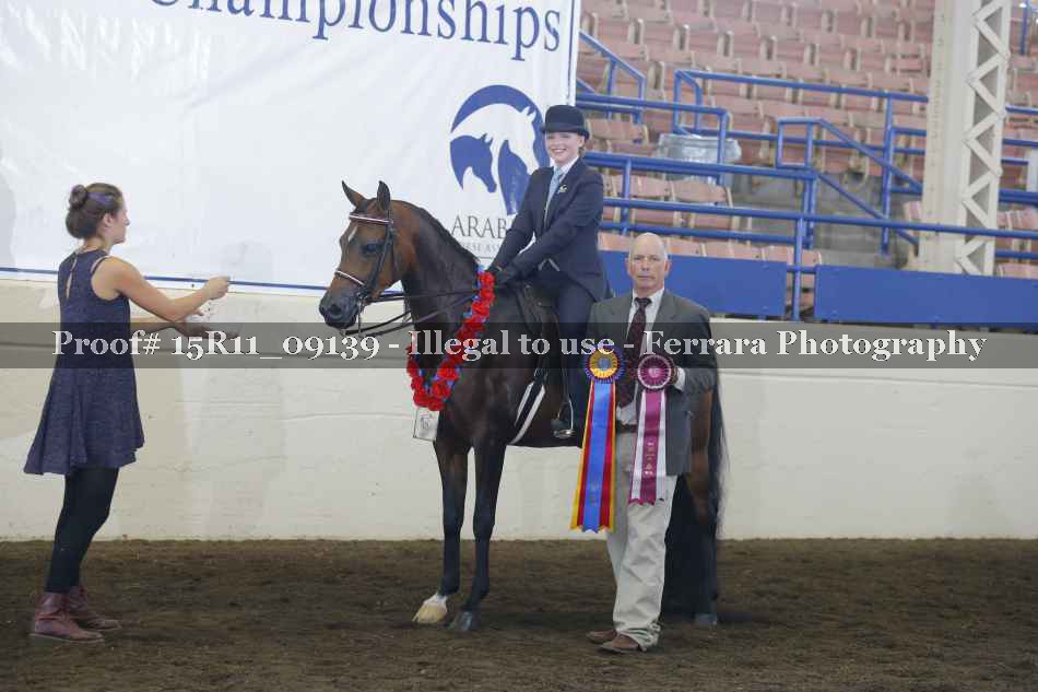 Proof Number 15R11_09139