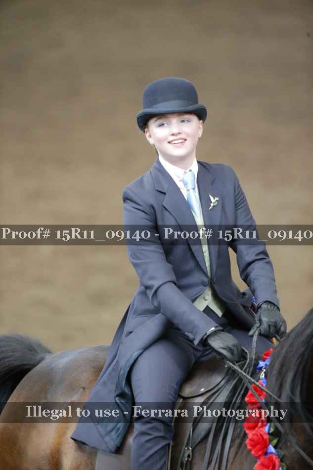 Proof Number 15R11_09140