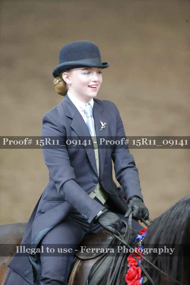 Proof Number 15R11_09141