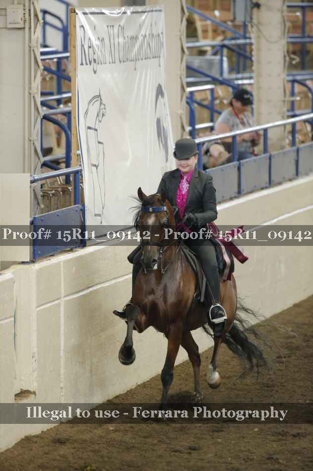 Proof Number 15R11_09142