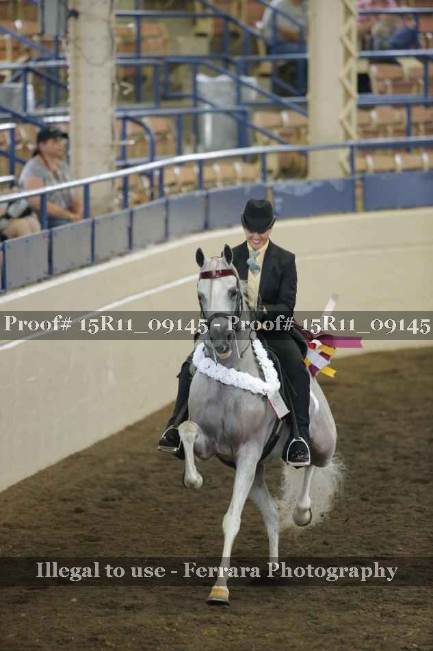 Proof Number 15R11_09145