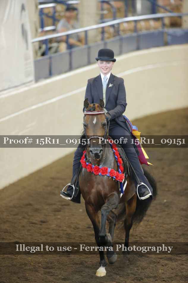 Proof Number 15R11_09151
