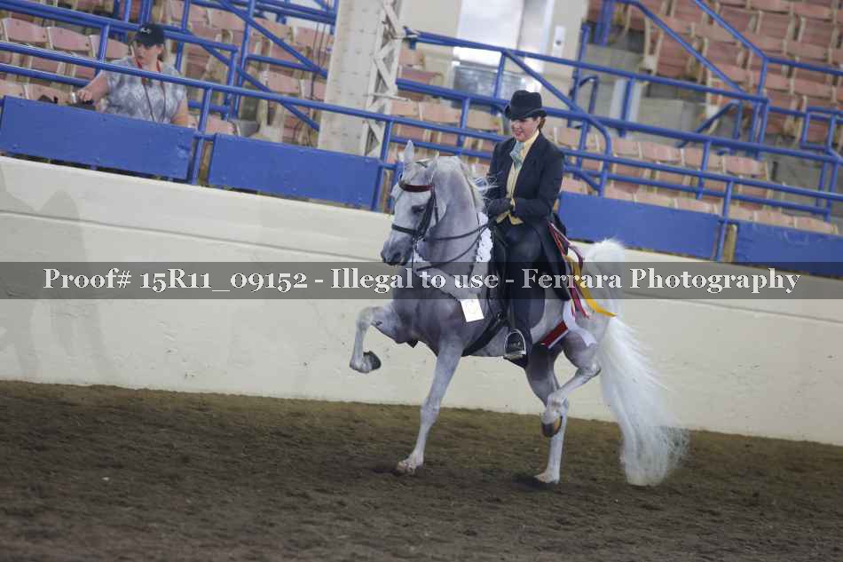 Proof Number 15R11_09152