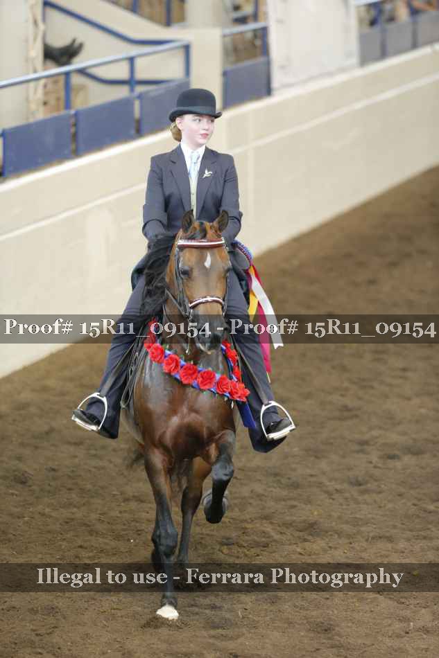 Proof Number 15R11_09154