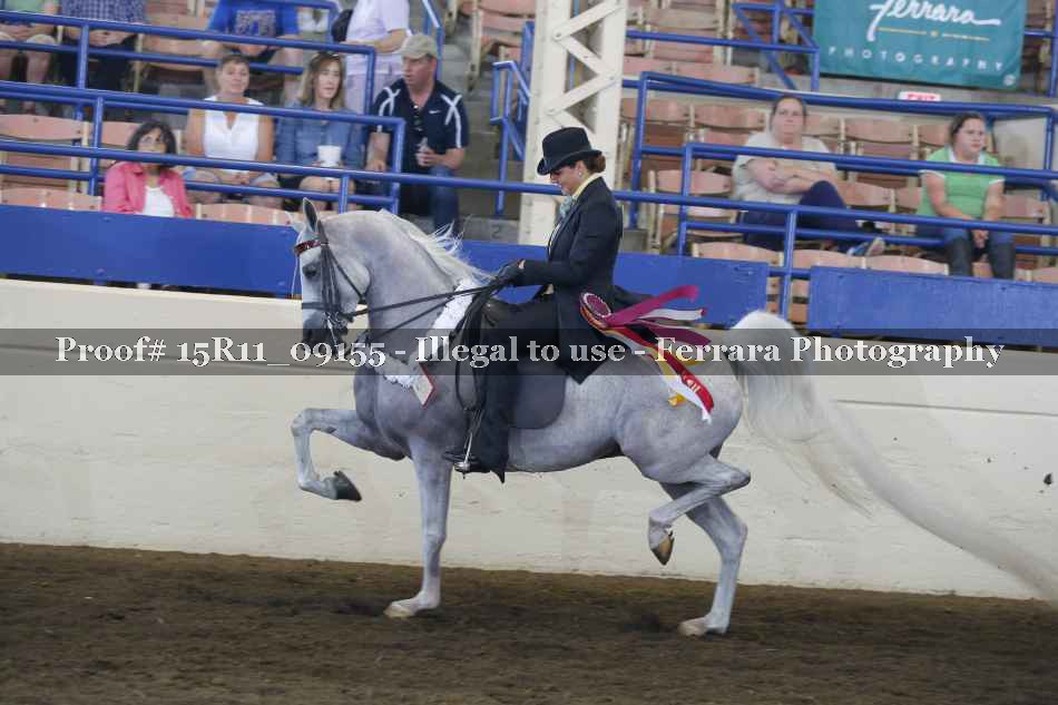 Proof Number 15R11_09155