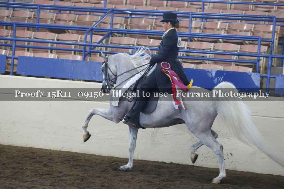 Proof Number 15R11_09156