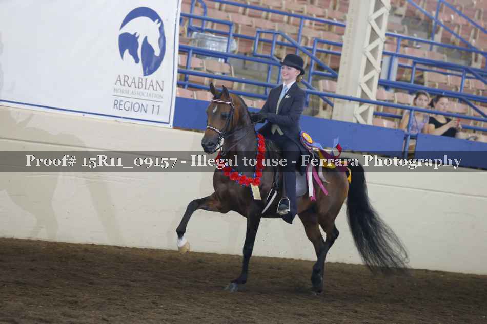 Proof Number 15R11_09157