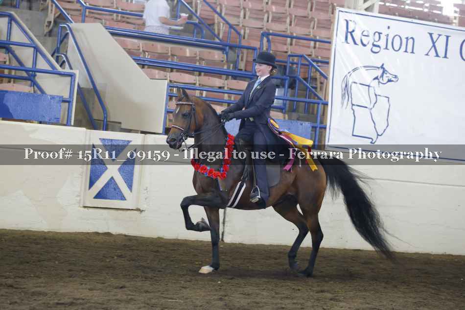 Proof Number 15R11_09159