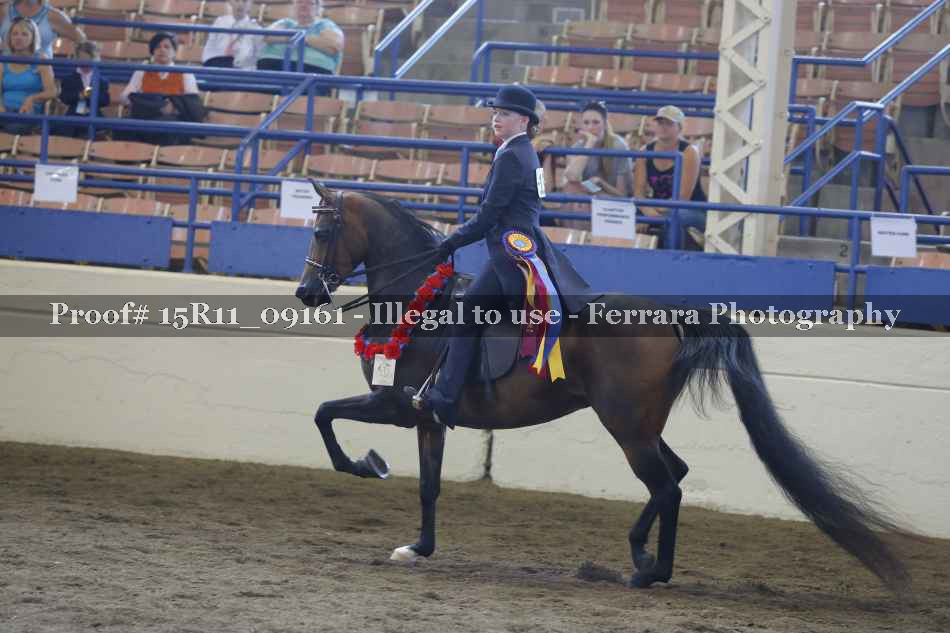 Proof Number 15R11_09161