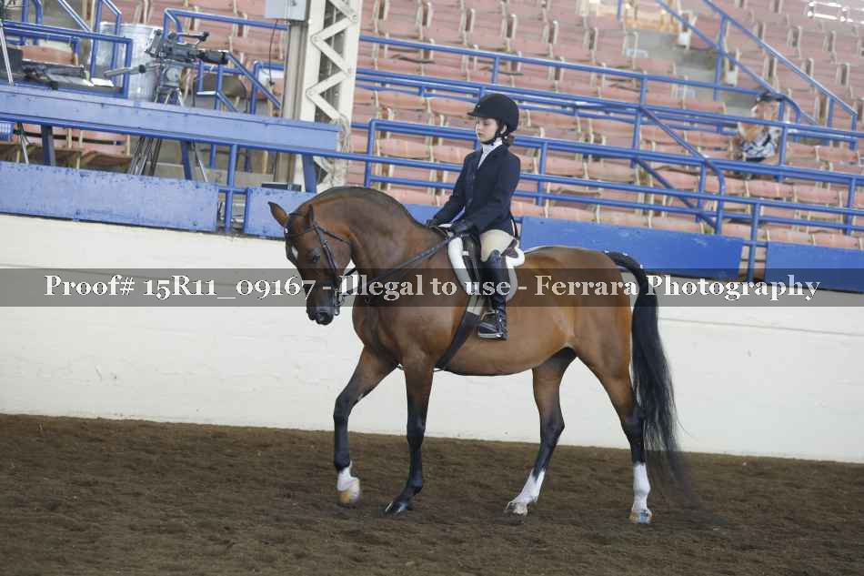 Proof Number 15R11_09167