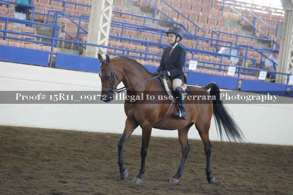 Proof Number 15R11_09172