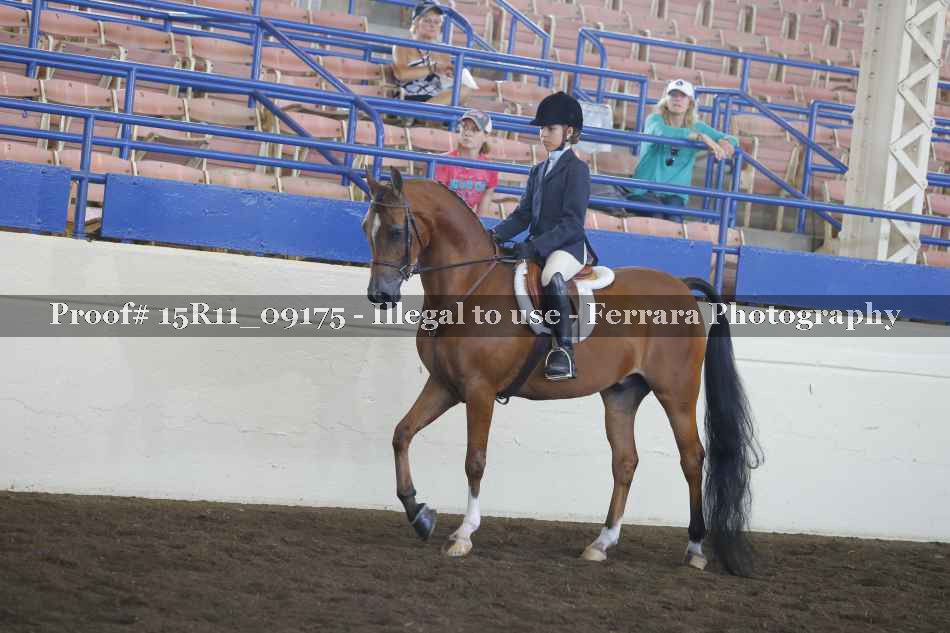 Proof Number 15R11_09175