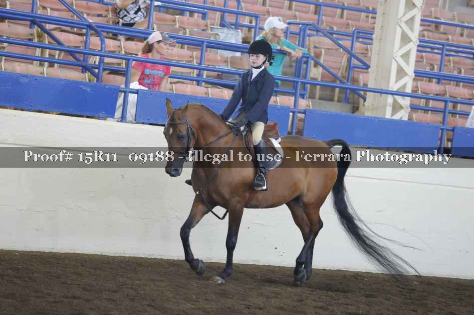Proof Number 15R11_09188