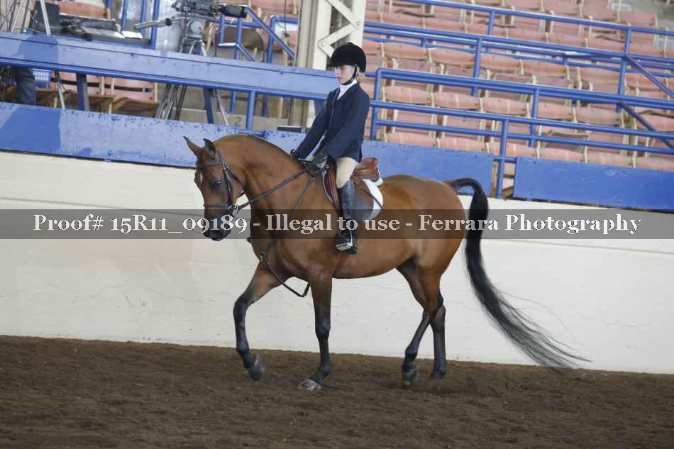 Proof Number 15R11_09189