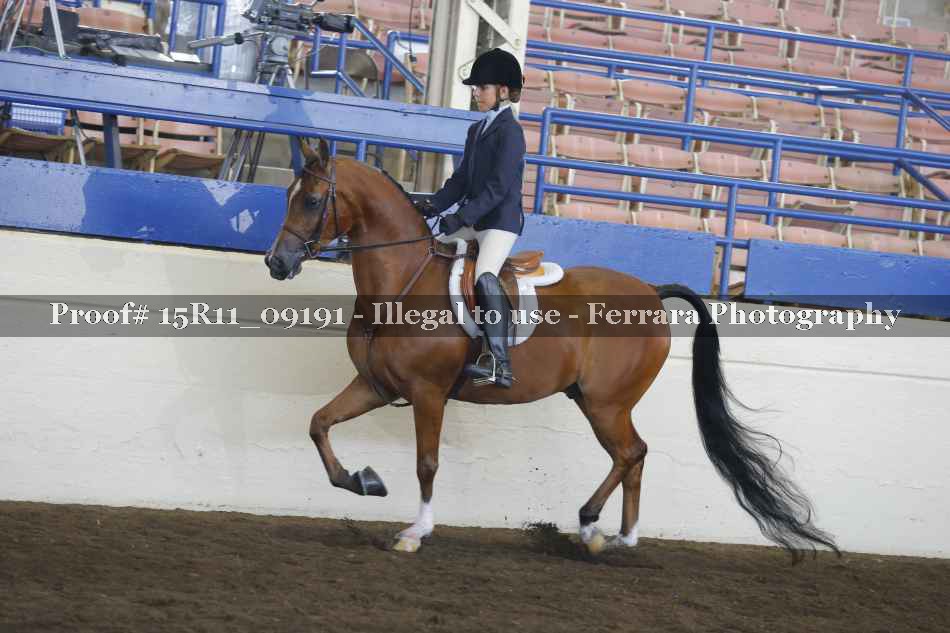Proof Number 15R11_09191
