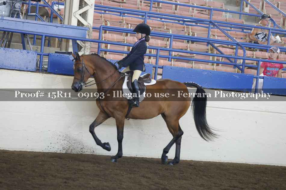 Proof Number 15R11_09193