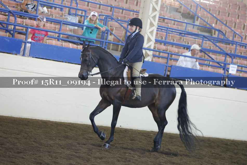 Proof Number 15R11_09194