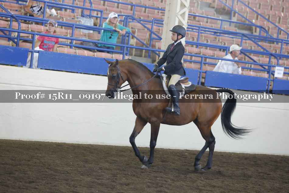 Proof Number 15R11_09197