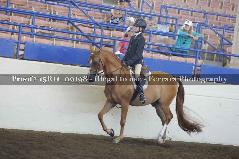 Proof Number 15R11_09198