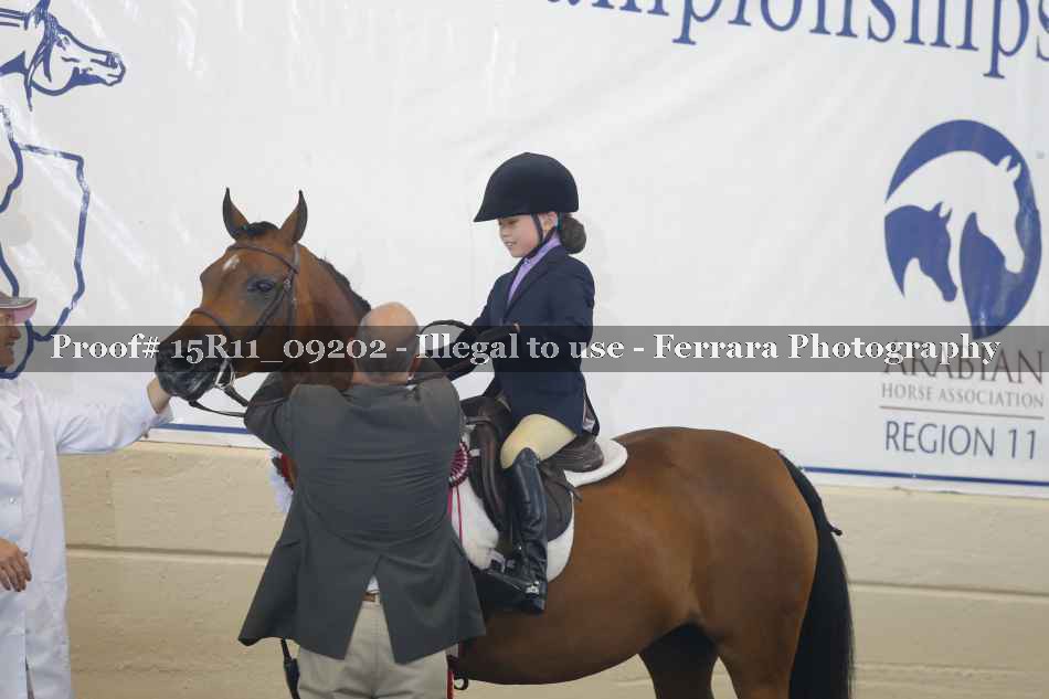 Proof Number 15R11_09202