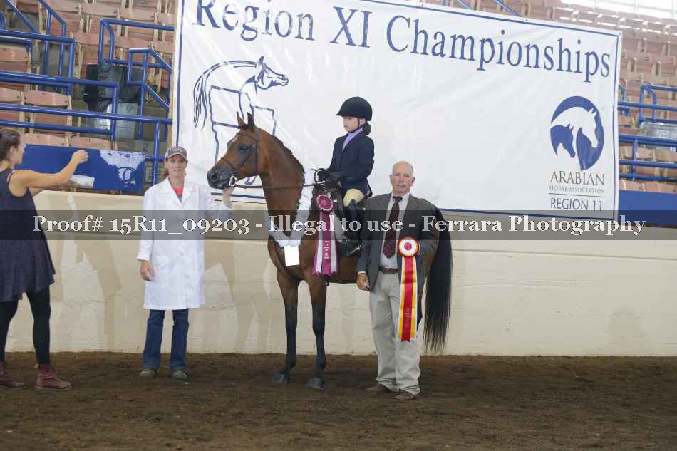 Proof Number 15R11_09203