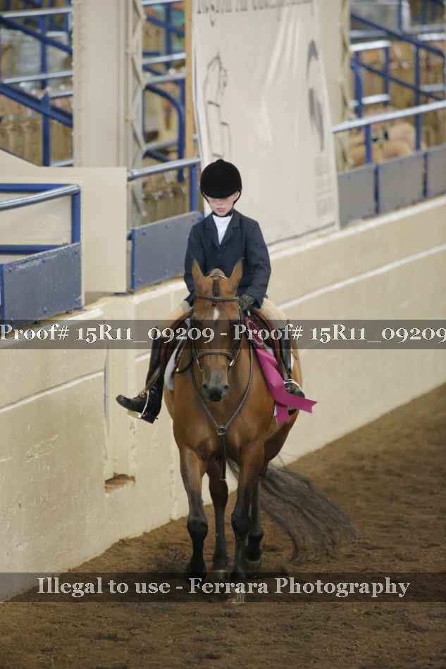 Proof Number 15R11_09209
