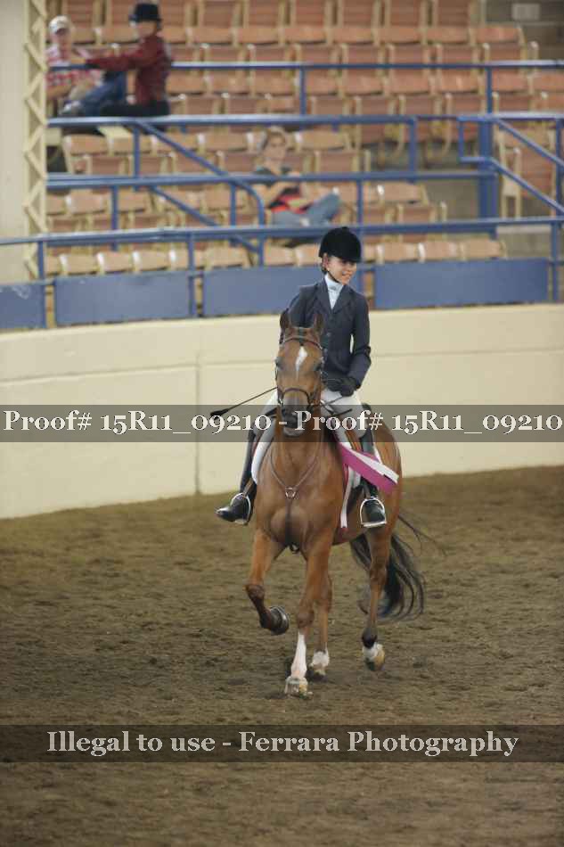 Proof Number 15R11_09210