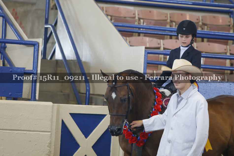 Proof Number 15R11_09211