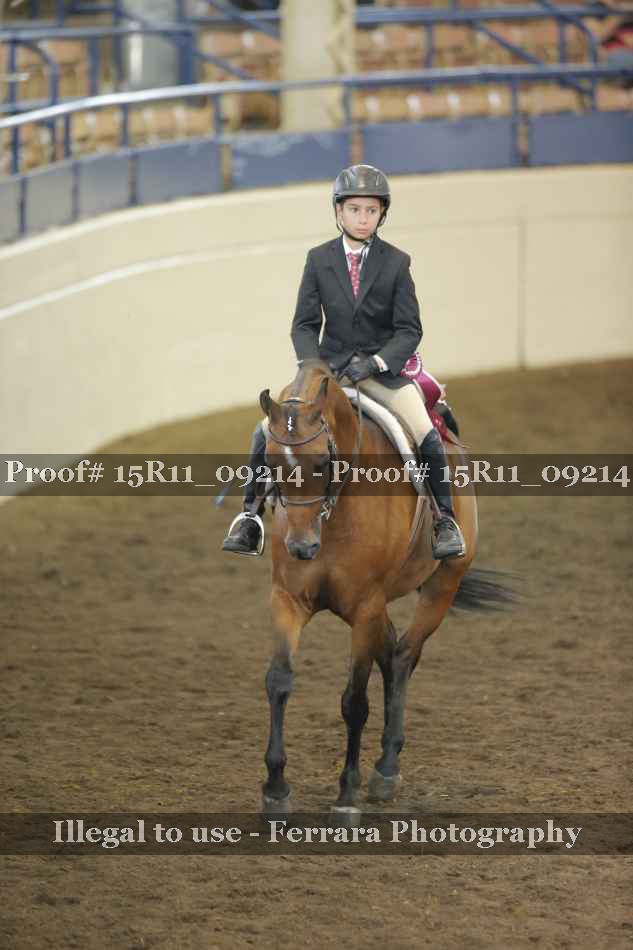 Proof Number 15R11_09214