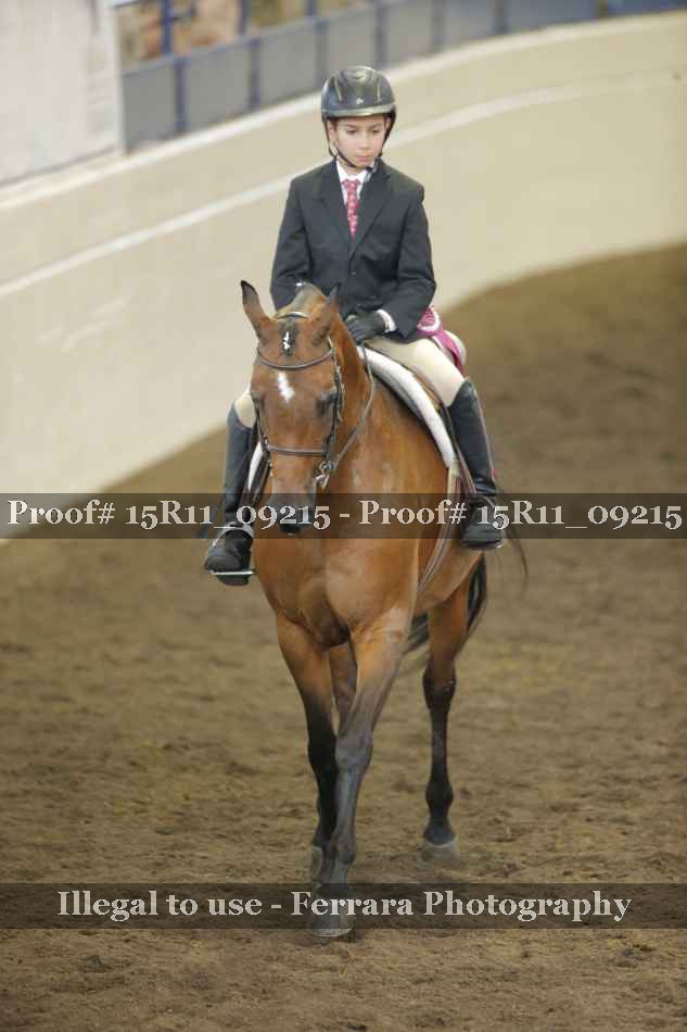 Proof Number 15R11_09215