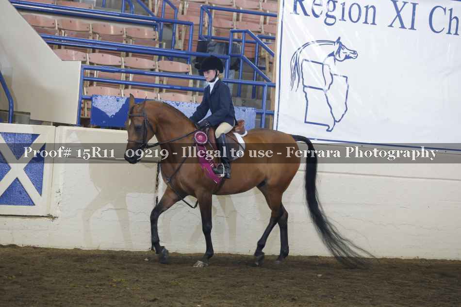 Proof Number 15R11_09219